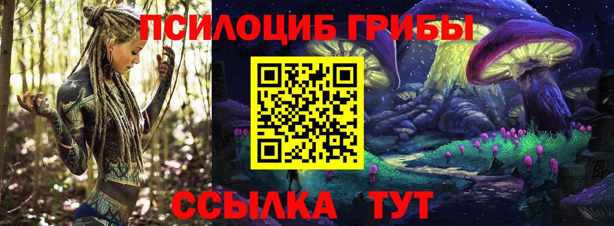 Псилоцибиновые грибы мицелий Лабинск