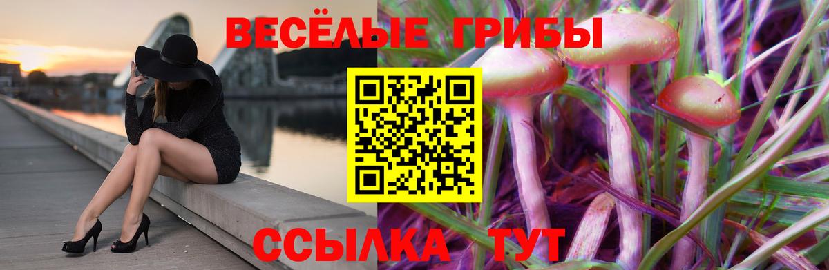 Лабинск  Галлюциногенные грибы ЛСД  Вход с VPN 
